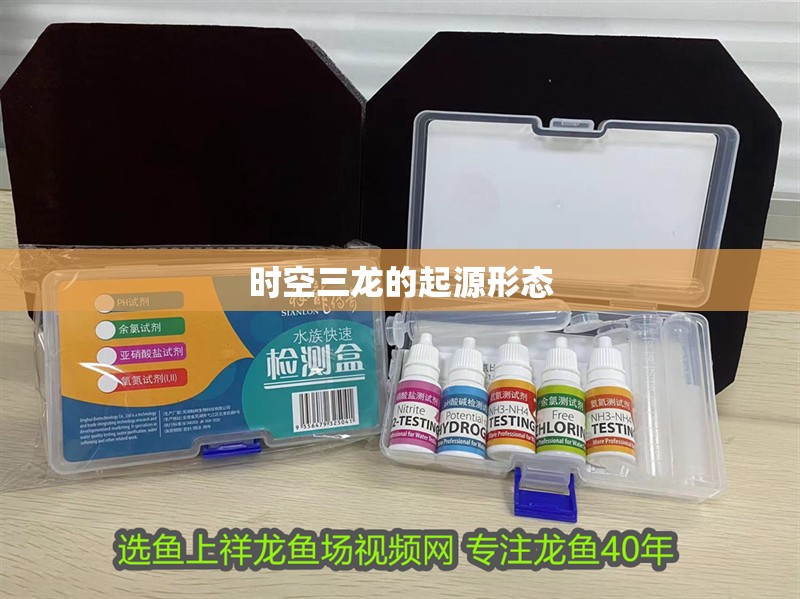 時(shí)空三龍的起源形態(tài)