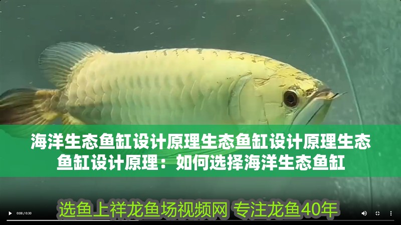海洋生態(tài)魚(yú)缸設(shè)計(jì)原理生態(tài)魚(yú)缸設(shè)計(jì)原理生態(tài)魚(yú)缸設(shè)計(jì)原理：如何選擇海洋生態(tài)魚(yú)缸