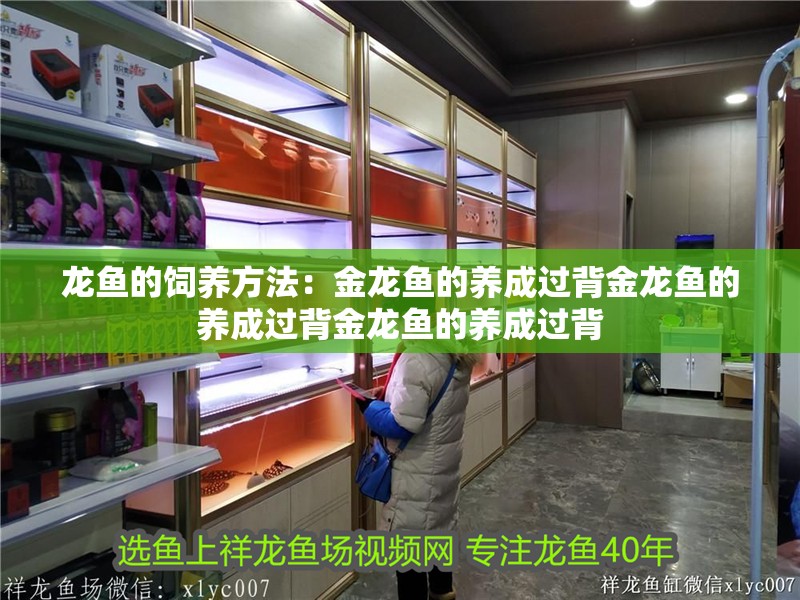 我的虎魚真菌感染了要怎么處理 龍魚的飼養方法:金龍魚的養成過背金龍魚的養成過背金龍魚的養成過背 魚缸百科 龍魚的飼養方法:金龍魚的養成過背金龍魚的養成過背金龍魚的養成過背 龍魚的飼養方法:金龍魚的養成過背金龍魚的養成過背金龍魚的養成過背 魚缸百科