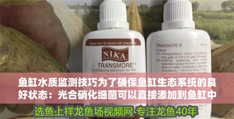 魚缸水質監測技巧為了確保魚缸生態系統的良好狀態：光合硝化細菌可以直接添加到魚缸中嗎？