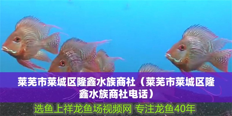 萊蕪市萊城區隆鑫水族商社（萊蕪市萊城區隆鑫水族商社電話）