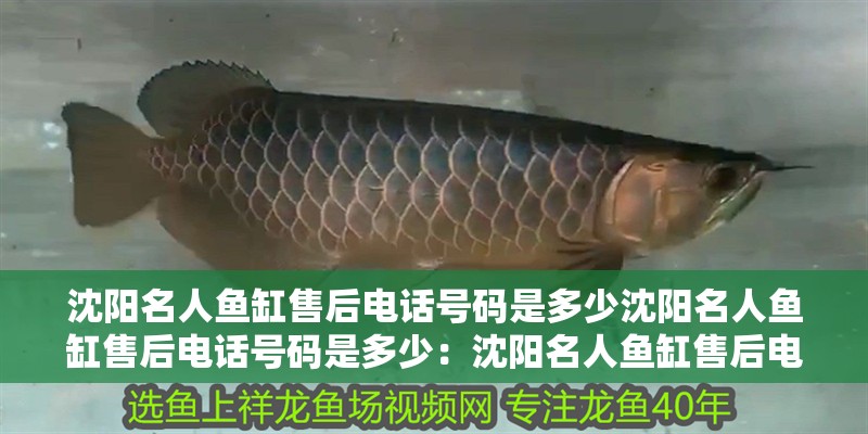沈陽名人魚缸售后電話號碼是多少沈陽名人魚缸售后電話號碼是多少：沈陽名人魚缸售后電話號碼