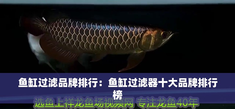 魚缸過濾品牌排行：魚缸過濾器十大品牌排行榜