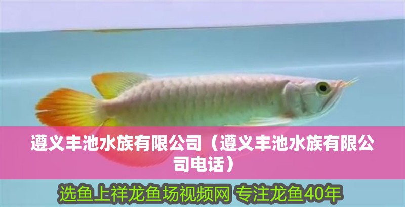 遵義豐池水族有限公司（遵義豐池水族有限公司電話）