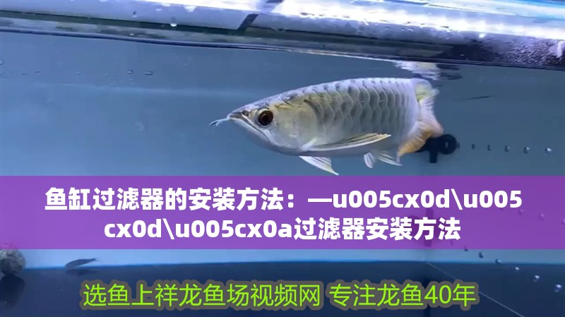 魚缸過濾器的安裝方法：—u005cx0d\u005cx0d\u005cx0a過濾器安裝方法