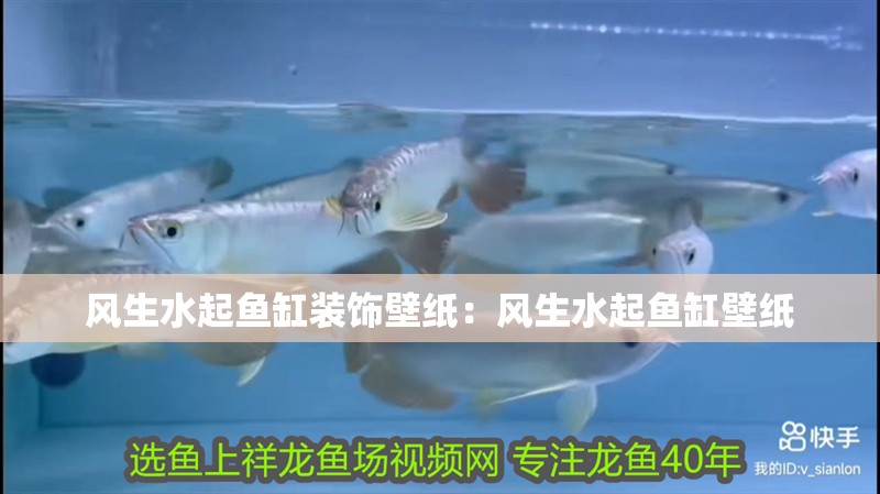 風(fēng)生水起魚缸裝飾壁紙：風(fēng)生水起魚缸壁紙