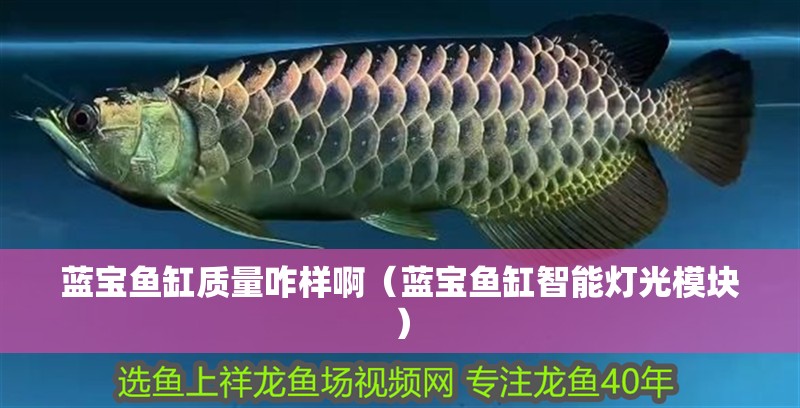 藍寶魚缸質量咋樣啊（藍寶魚缸智能燈光模塊） 藍寶魚缸質量咋樣啊（藍寶魚缸智能燈光模塊） 魚缸百科