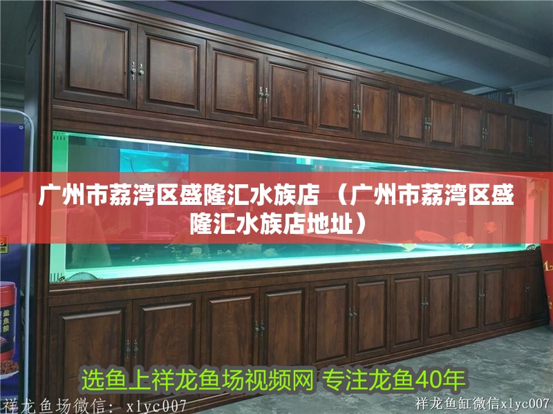 廣州市荔灣區(qū)盛隆匯水族店 （廣州市荔灣區(qū)盛隆匯水族店地址）
