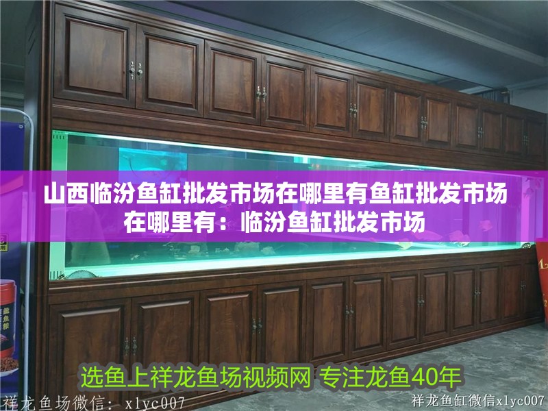 山西臨汾魚缸批發(fā)市場在哪里有魚缸批發(fā)市場在哪里有：臨汾魚缸批發(fā)市場
