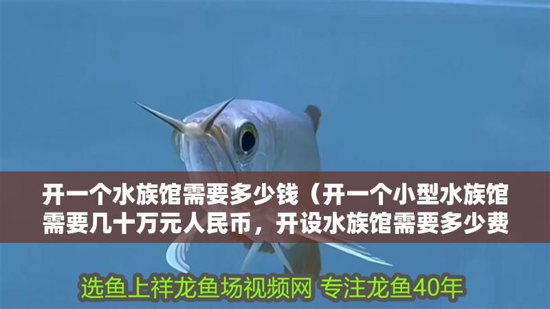 開一個水族館需要多少錢（開一個小型水族館需要幾十萬元人民幣，開設水族館需要多少費用）