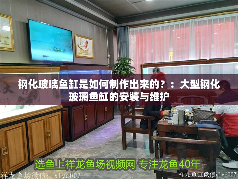 鋼化玻璃魚缸是如何制作出來的？：大型鋼化玻璃魚缸的安裝與維護