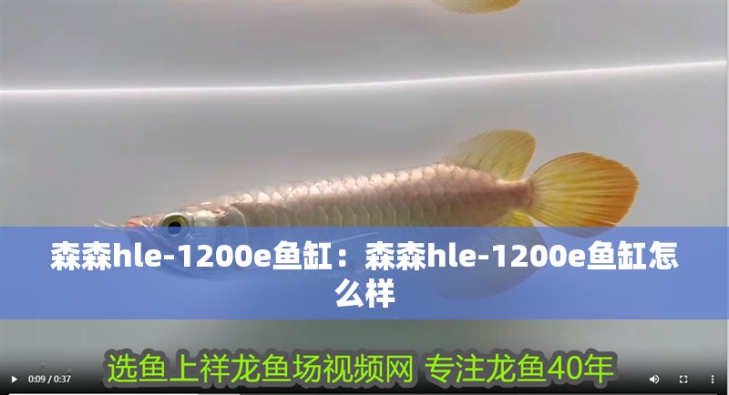 森森hle-1200e魚缸：森森hle-1200e魚缸怎么樣
