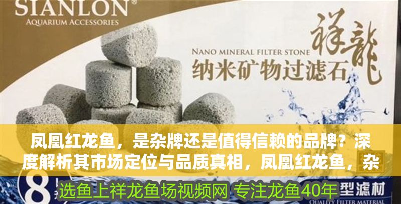 鳳凰紅龍魚，是雜牌還是值得信賴的品牌？深度解析其市場定位與品質真相，鳳凰紅龍魚，雜牌還是品質之選？揭秘其市場定位與真實品質