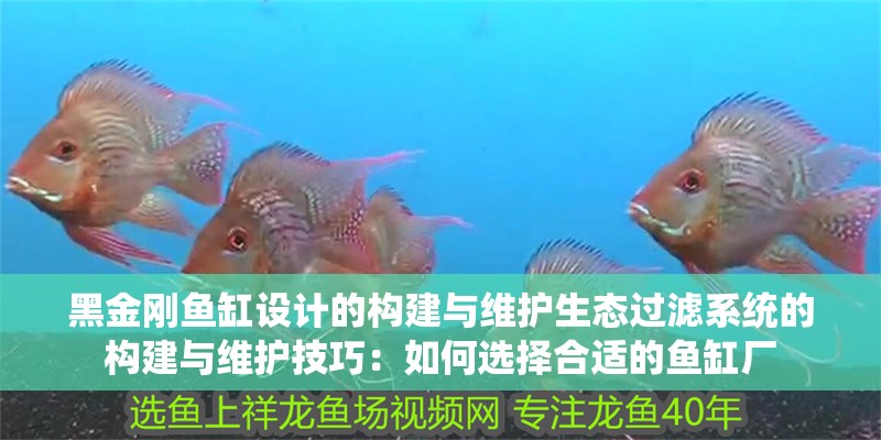 黑金剛魚缸設計的構建與維護生態過濾系統的構建與維護技巧：如何選擇合適的魚缸廠