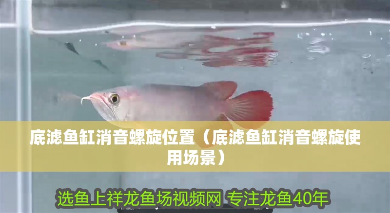 底濾魚缸消音螺旋位置（底濾魚缸消音螺旋使用場景）
