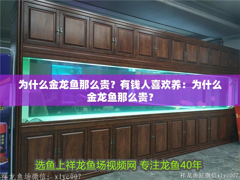 為什么金龍魚那么貴？有錢人喜歡養：為什么金龍魚那么貴？