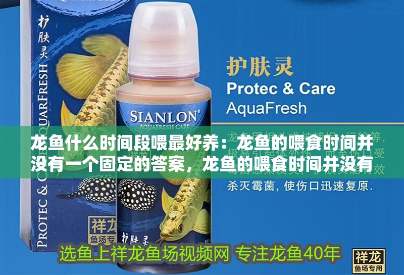 龍魚什么時間段喂最好養：龍魚的喂食時間并沒有一個固定的答案，龍魚的喂食時間并沒有固定的答案