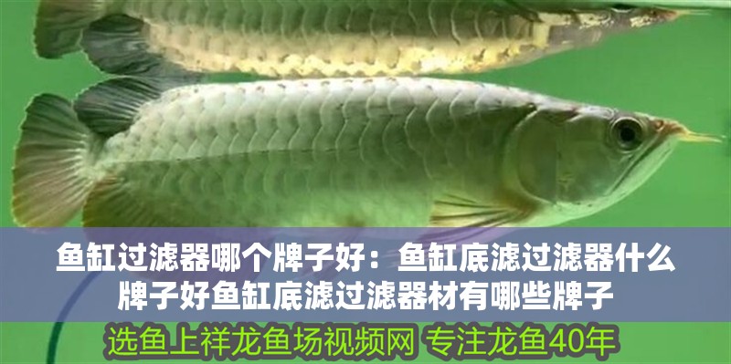 魚缸過濾器哪個牌子好：魚缸底濾過濾器什么牌子好魚缸底濾過濾器材有哪些牌子