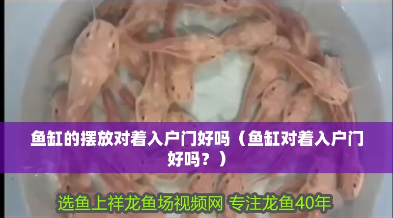 魚缸的擺放對著入戶門好嗎（魚缸對著入戶門好嗎？）