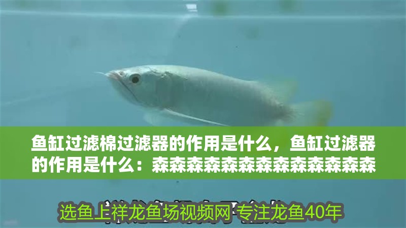 魚缸過濾棉過濾器的作用是什么，魚缸過濾器的作用是什么：森森森森森森森森森森森森森森森森森森森森森森森森森森森森森森