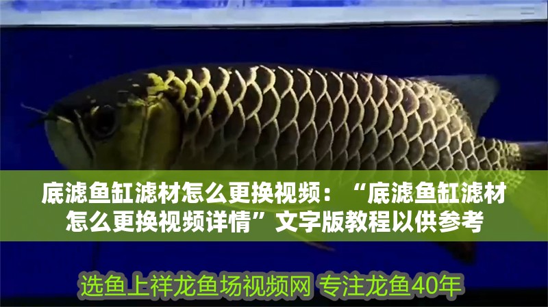 底濾魚缸濾材怎么更換視頻：“底濾魚缸濾材怎么更換視頻詳情”文字版教程以供參考