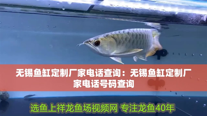 無錫魚缸定制廠家電話查詢：無錫魚缸定制廠家電話號碼查詢