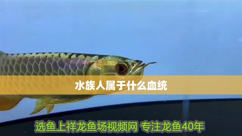 水族人屬于什么血統(tǒng)