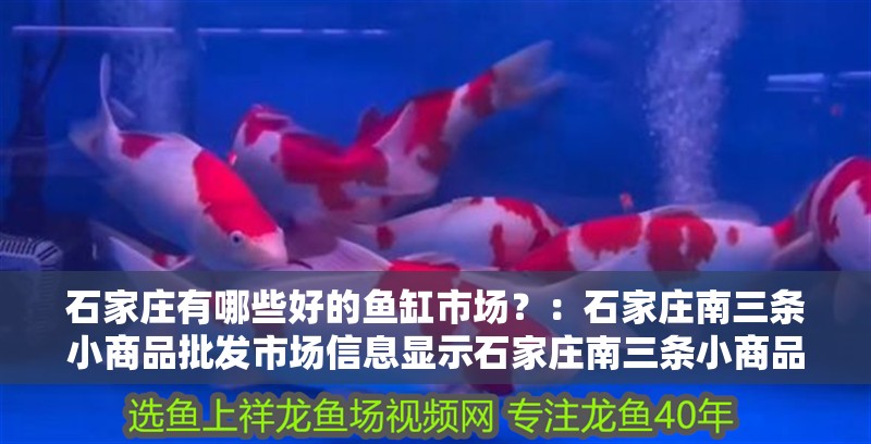 石家莊有哪些好的魚缸市場？：石家莊南三條小商品批發市場信息顯示石家莊南三條小商品批發市場