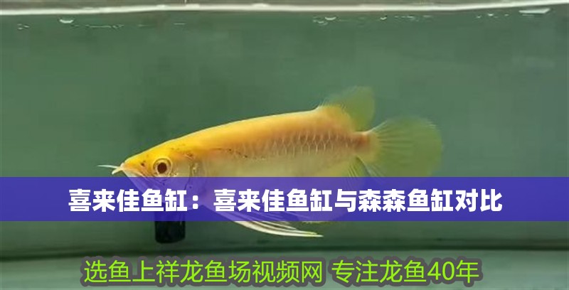 喜來(lái)佳魚(yú)缸：喜來(lái)佳魚(yú)缸與森森魚(yú)缸對(duì)比
