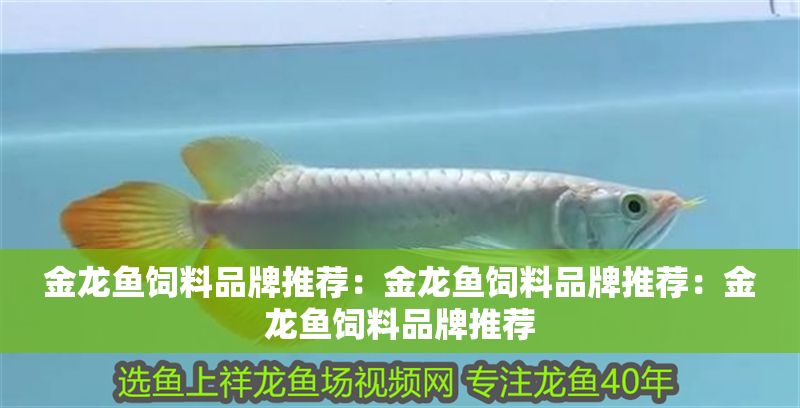 金龍魚(yú)飼料品牌推薦：金龍魚(yú)飼料品牌推薦：金龍魚(yú)飼料品牌推薦