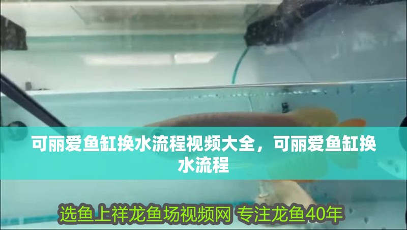 可麗愛魚缸換水流程視頻大全，可麗愛魚缸換水流程