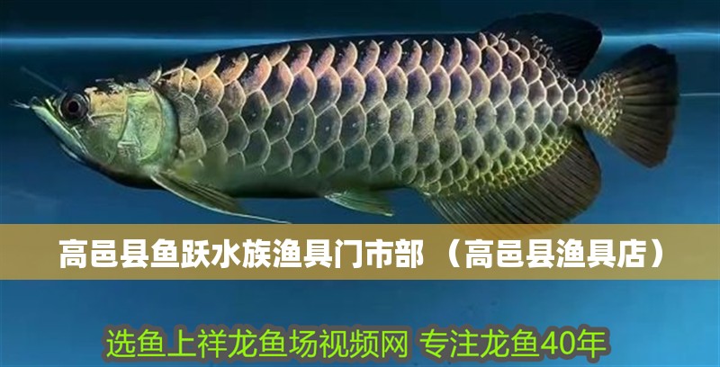 高邑縣魚躍水族漁具門市部 （高邑縣漁具店）