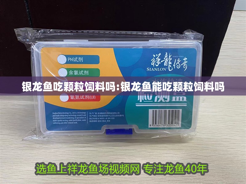 銀龍魚吃顆粒飼料嗎:銀龍魚能吃顆粒飼料嗎