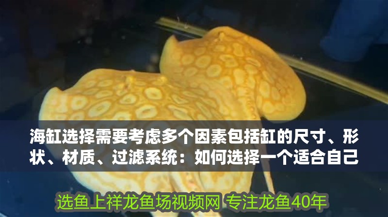 海缸選擇需要考慮多個因素包括缸的尺寸、形狀、材質、過濾系統：如何選擇一個適合自己的魚缸