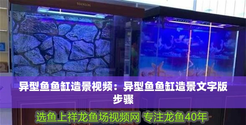 異型魚魚缸造景視頻：異型魚魚缸造景文字版步驟
