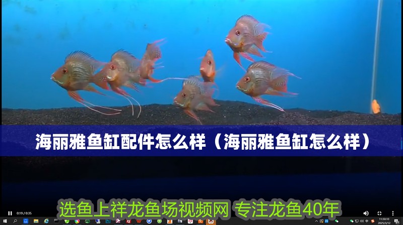 海麗雅魚缸配件怎么樣（海麗雅魚缸怎么樣）