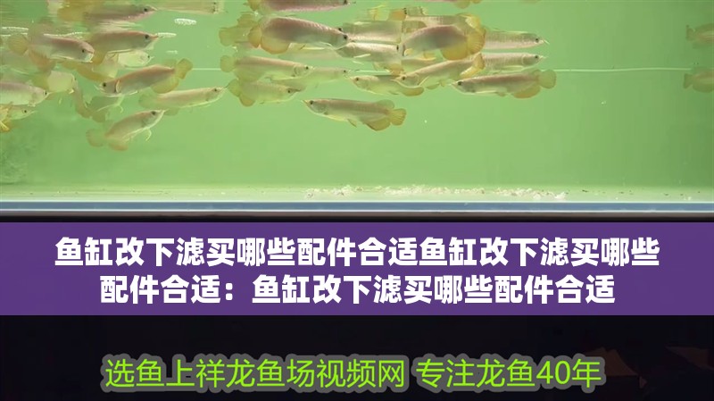 魚缸改下濾買哪些配件合適魚缸改下濾買哪些配件合適：魚缸改下濾買哪些配件合適