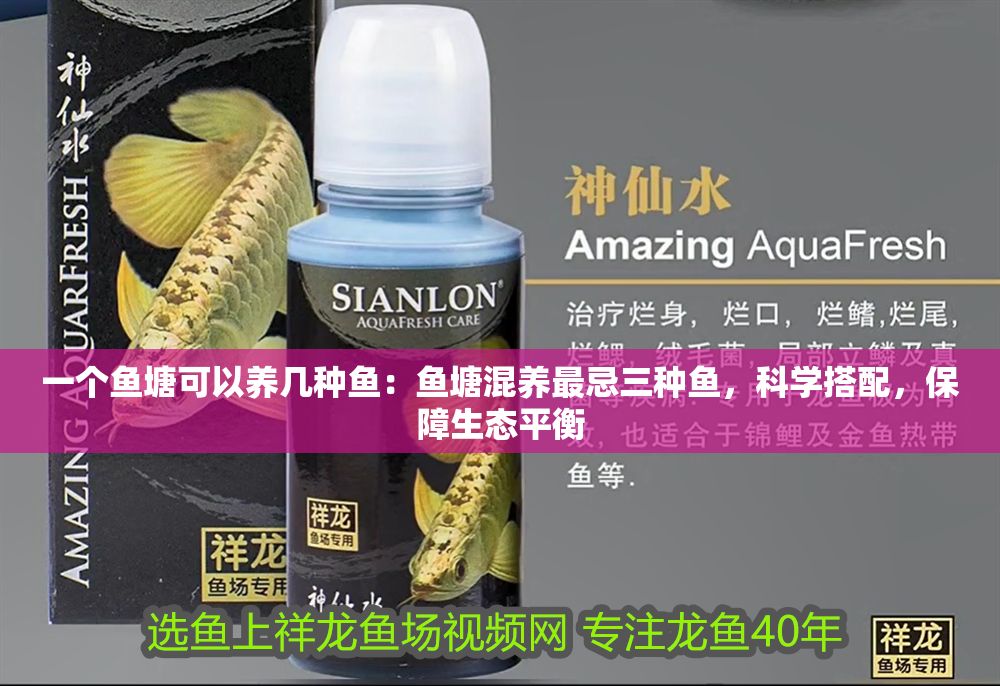 一個魚塘可以養(yǎng)幾種魚：魚塘混養(yǎng)最忌三種魚，科學(xué)搭配，保障生態(tài)平衡