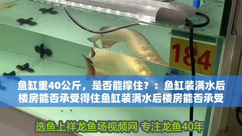 魚缸重40公斤，是否能撐住？：魚缸裝滿水后樓房能否承受得住魚缸裝滿水后樓房能否承受得住