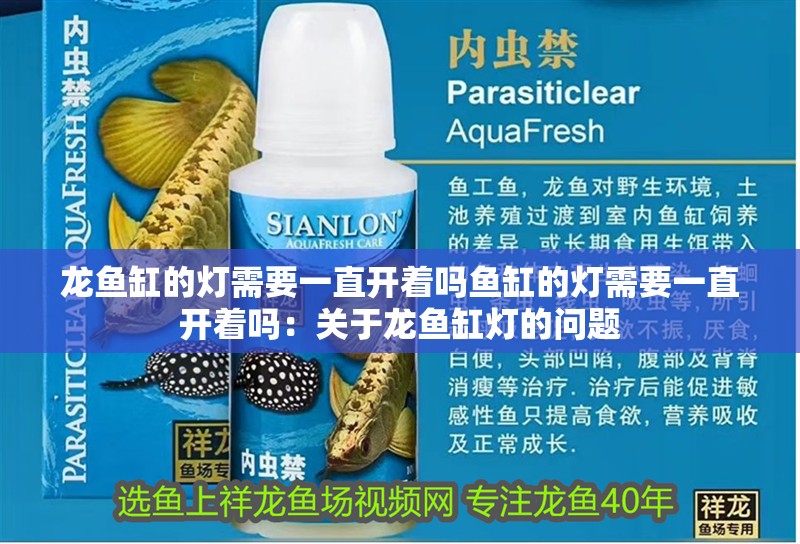 龍魚缸的燈需要一直開著嗎魚缸的燈需要一直開著嗎：關于龍魚缸燈的問題