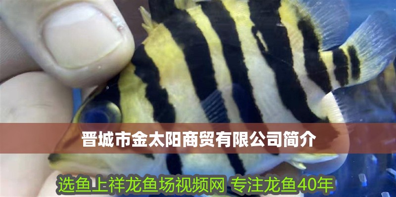 晉城市金太陽商貿有限公司簡介