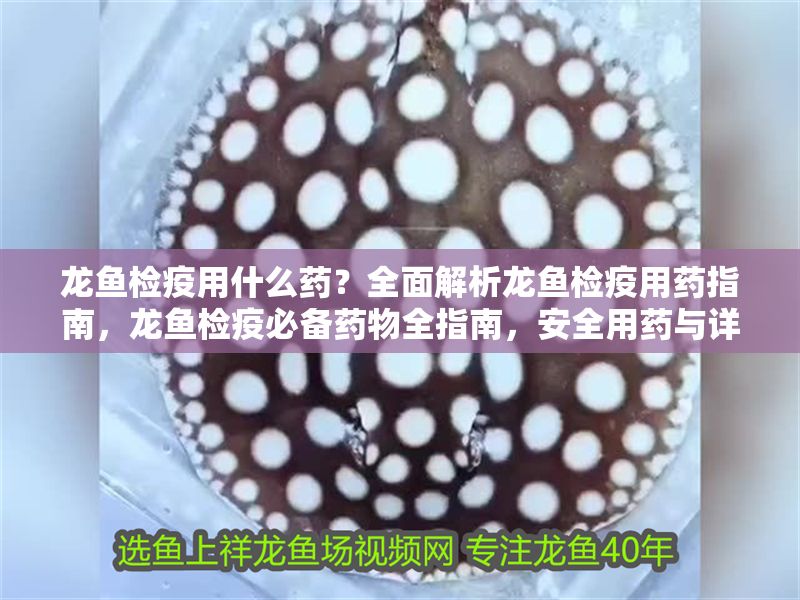 龍魚檢疫用什么藥？全面解析龍魚檢疫用藥指南，龍魚檢疫必備藥物全指南，安全用藥與詳細解析
