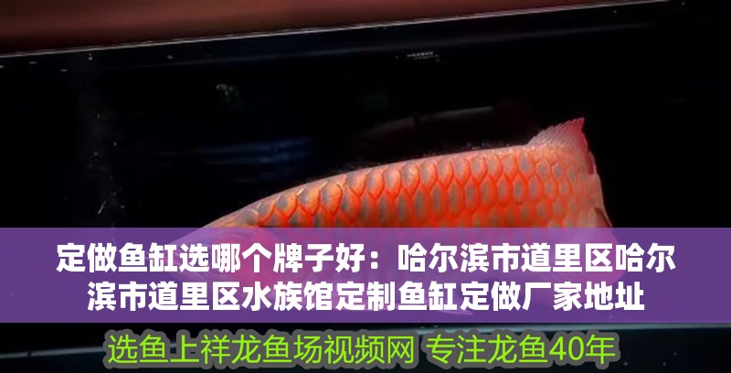 定做魚缸選哪個牌子好：哈爾濱市<strong><mark>道里</mark></strong>區哈爾濱市<strong><mark>道里</mark></strong>區水族館定制魚缸定做廠家地址