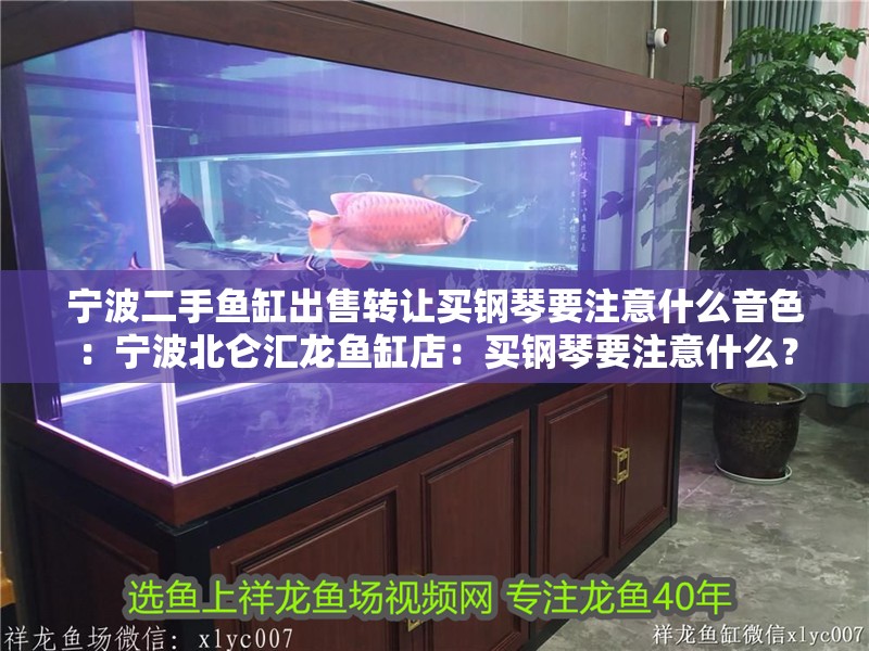 寧波二手魚缸出售轉(zhuǎn)讓買鋼琴要注意什么音色：寧波北侖匯龍魚缸店：買鋼琴要注意什么？