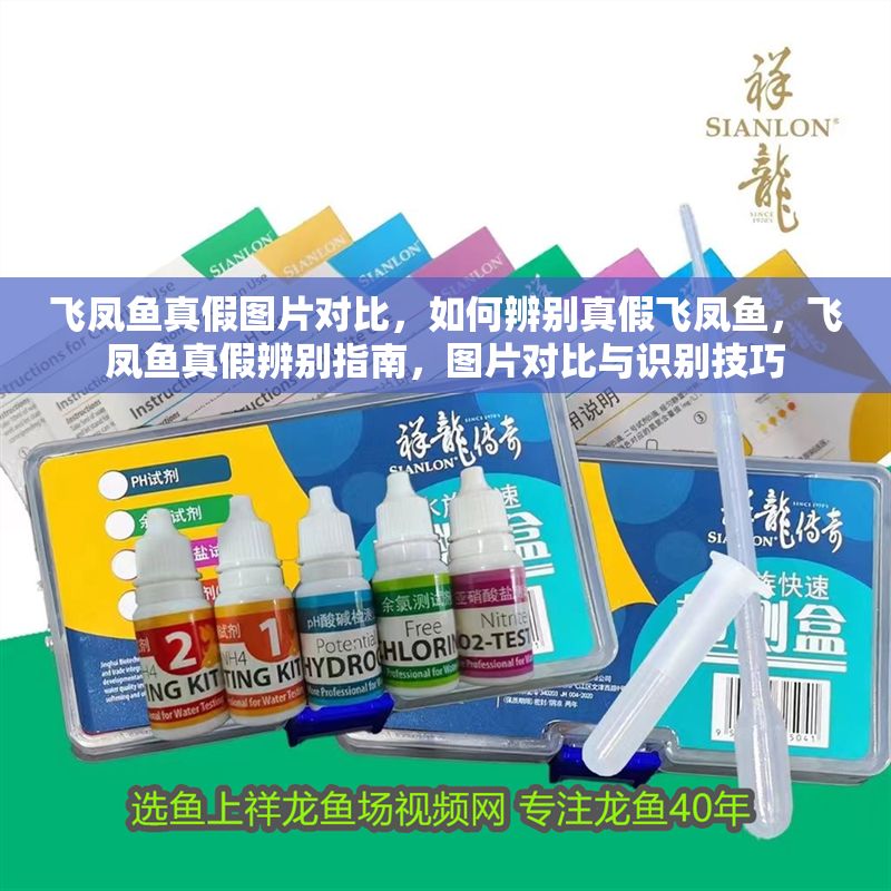 飛鳳魚真假圖片對比，如何辨別真假飛鳳魚，飛鳳魚真假辨別指南，圖片對比與識別技巧