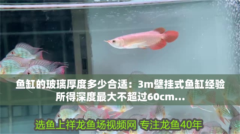 魚缸的玻璃厚度多少合適：3m壁掛式魚缸經驗所得深度最大不超過60cm…
