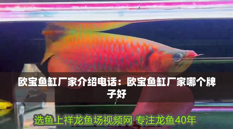 歐寶魚(yú)缸廠家介紹電話：歐寶魚(yú)缸廠家哪個(gè)牌子好