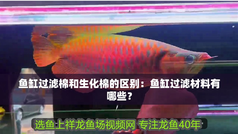 魚缸過濾棉和生化棉的區(qū)別：魚缸過濾材料有哪些？