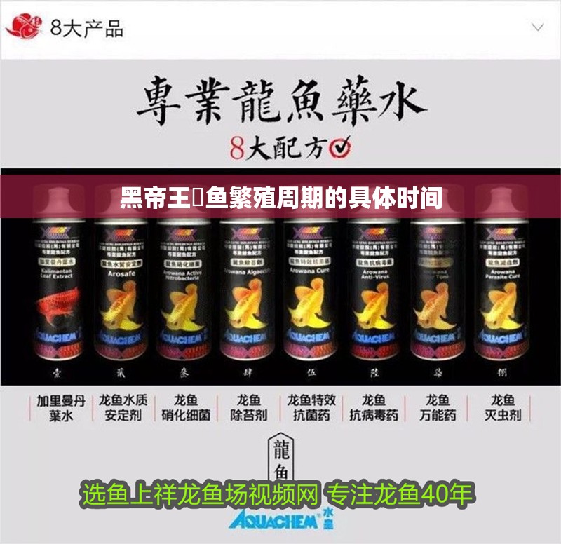 黑帝王魟魚繁殖周期的具體時(shí)間