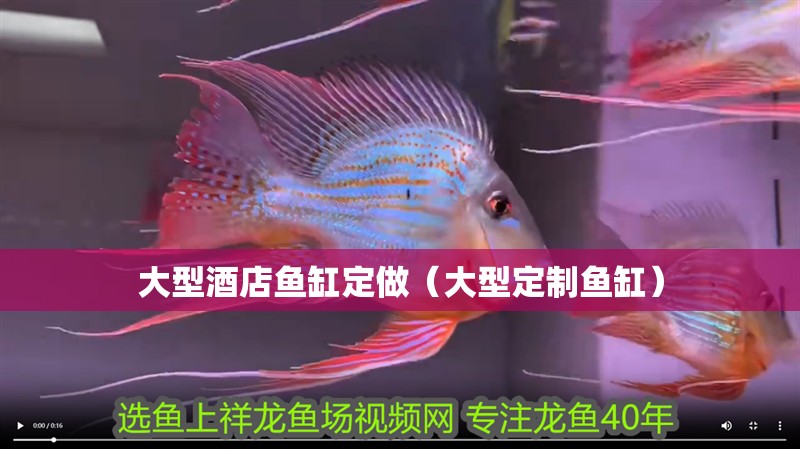 大型酒店魚缸定做（大型定制魚缸）